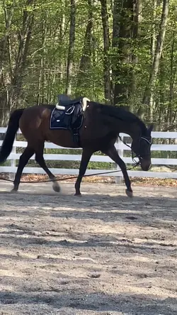 Slow motion ✨😍