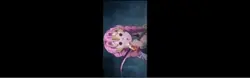 MITSURI