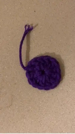 project progress 