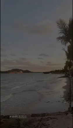 Segunda feira 