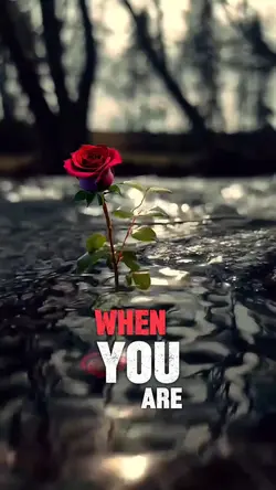 Being Grateful
