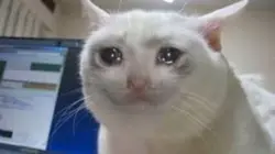 Meow mewo 😔