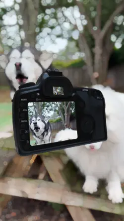 YouTube Shorts Edit