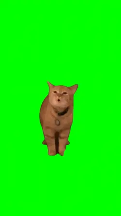Singing Cat