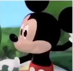 Mouse