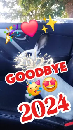 Goodbye 2024