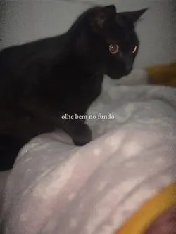 minha linda