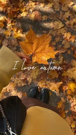 I love autumn 