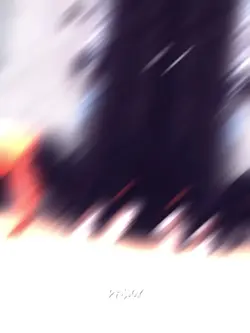 gym  velocity
