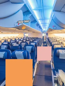 Airplane