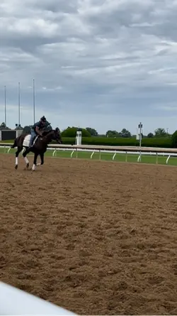 race horses 😍😍😍