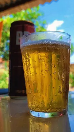 bebidas