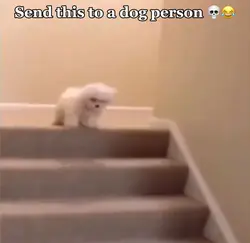 Long live the pup