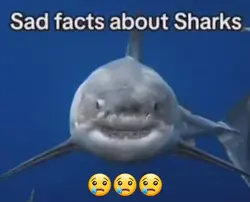 fortnite meme