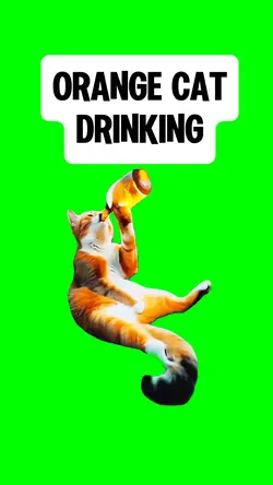 ORANGE CAT DRINKIN
