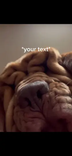 Doggo