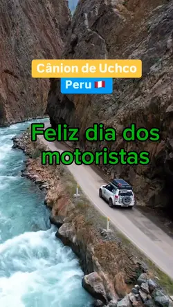 #diadosmotorista