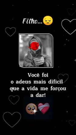 Lei da vida
