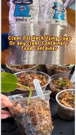 Plants Pot Hack