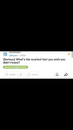 Reddit