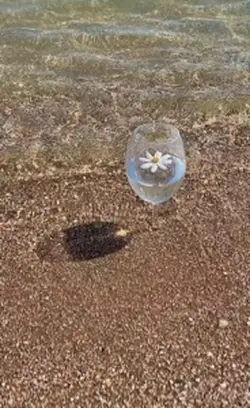 Bottle of water 