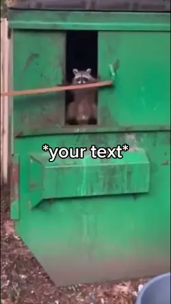 Raccoon garbage 