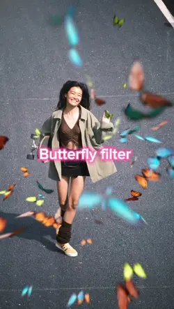 Butterfly filter 