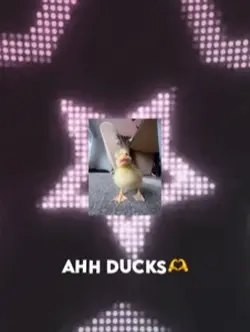 editing ducks๐