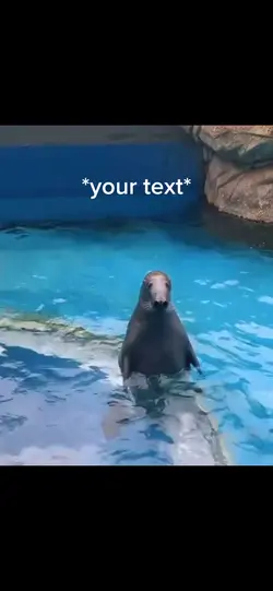 Nervous seal