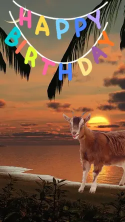 Aniversário 