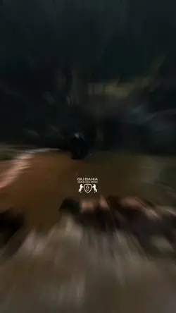 seu boiadeiro 