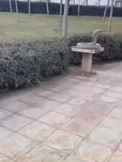 NOM