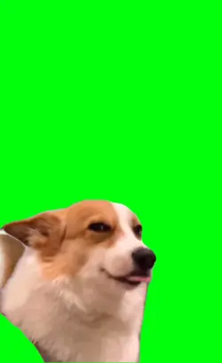 good dog smile