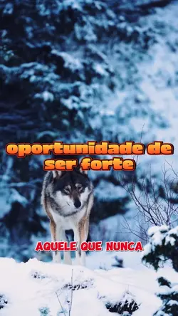 oportunidade de se