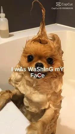 Bubbles