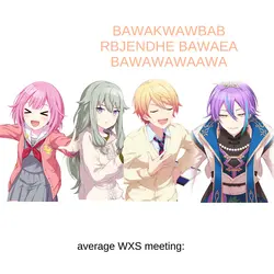 average WXS meeting