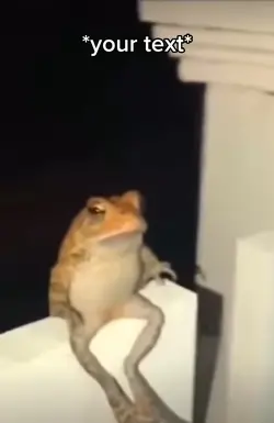 Do a flip