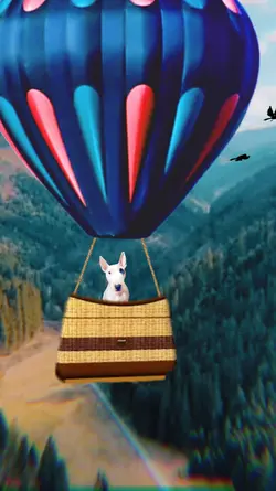 Flying Balloon 2