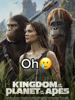 Movies… 🍿🎬📽️📼🎥 