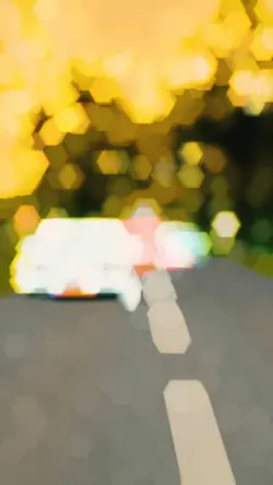 1 clip 