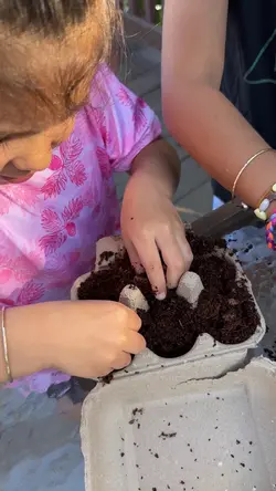 Planting seeds