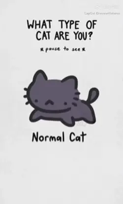 Cats 😚✌🏻