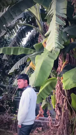 Soch : Karan aujla 🎵