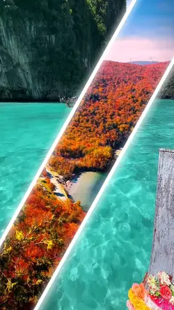Split Screen Effect