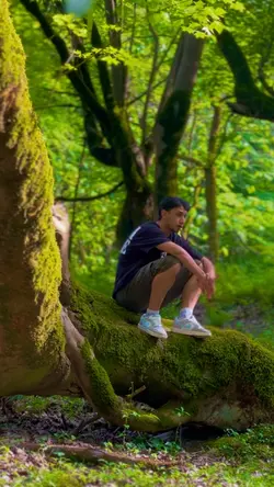 Jungle
