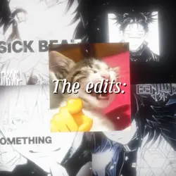 The editor: 