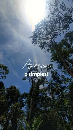 Aprecie o simples!