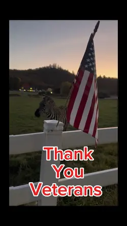 Veterans Day