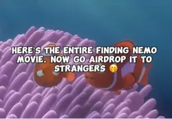 Nemo
