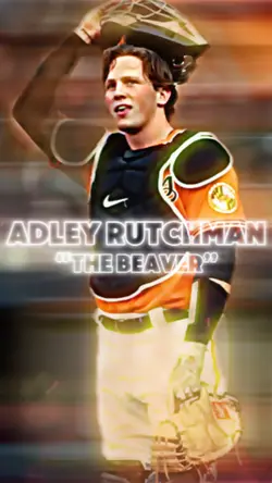 The beaver 🦫 🦫🦫